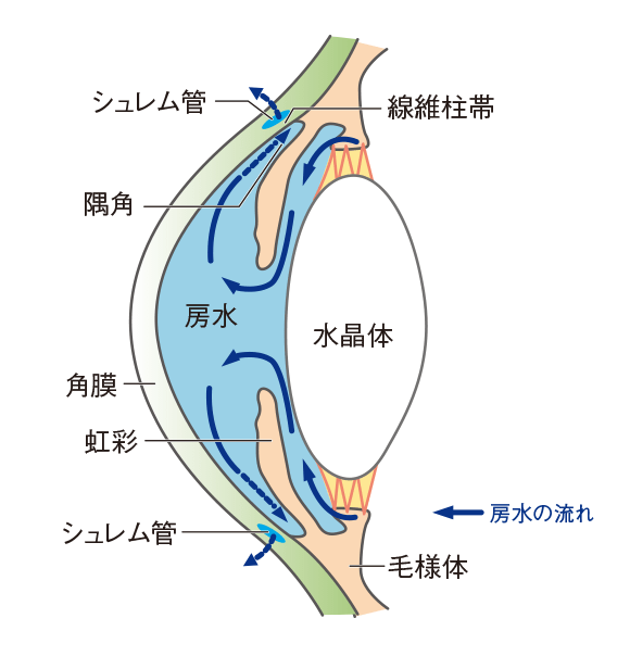隅角の構造